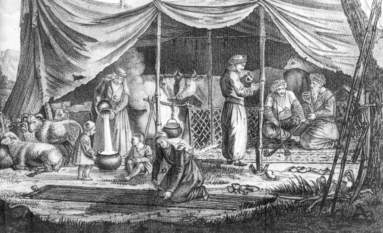 一群库尔德游牧民族，来自Gaspard Drouville的Voyage en Perse，于1825年出版 作者 法语学校