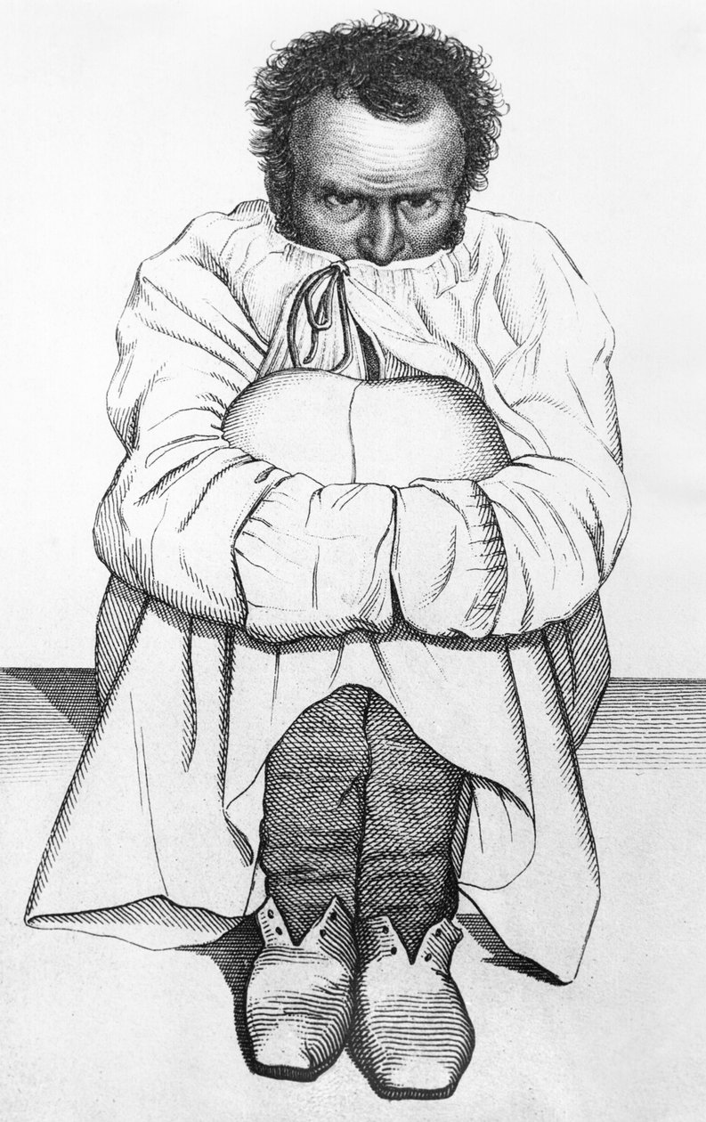 一个疯子，Jean Etienne Dominique Esquirol的书中的插图（1772-1840） 作者 法语学校