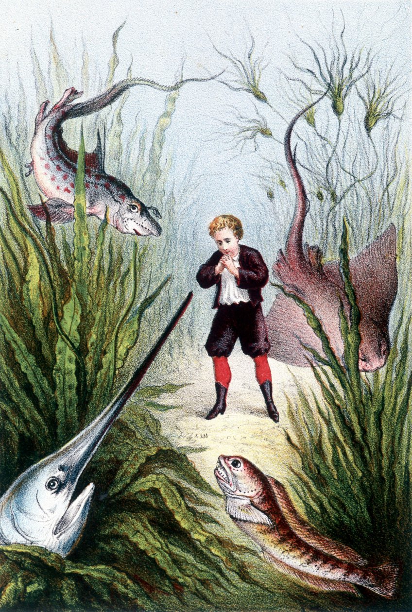 被巨鱼包围的男孩--H. de la Blanchère 的《海底之旅》。巴黎，Jouvet et Cie, sd.Jouvet et Cie, sd.1880.(double 02941) 作者 法语学校