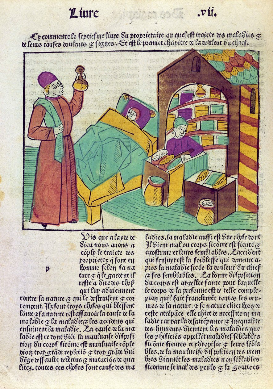 一位患有医生和药剂师的患者，来自The Book of Things by Barthelemy English，1485（彩色木刻） 作者 法语学校