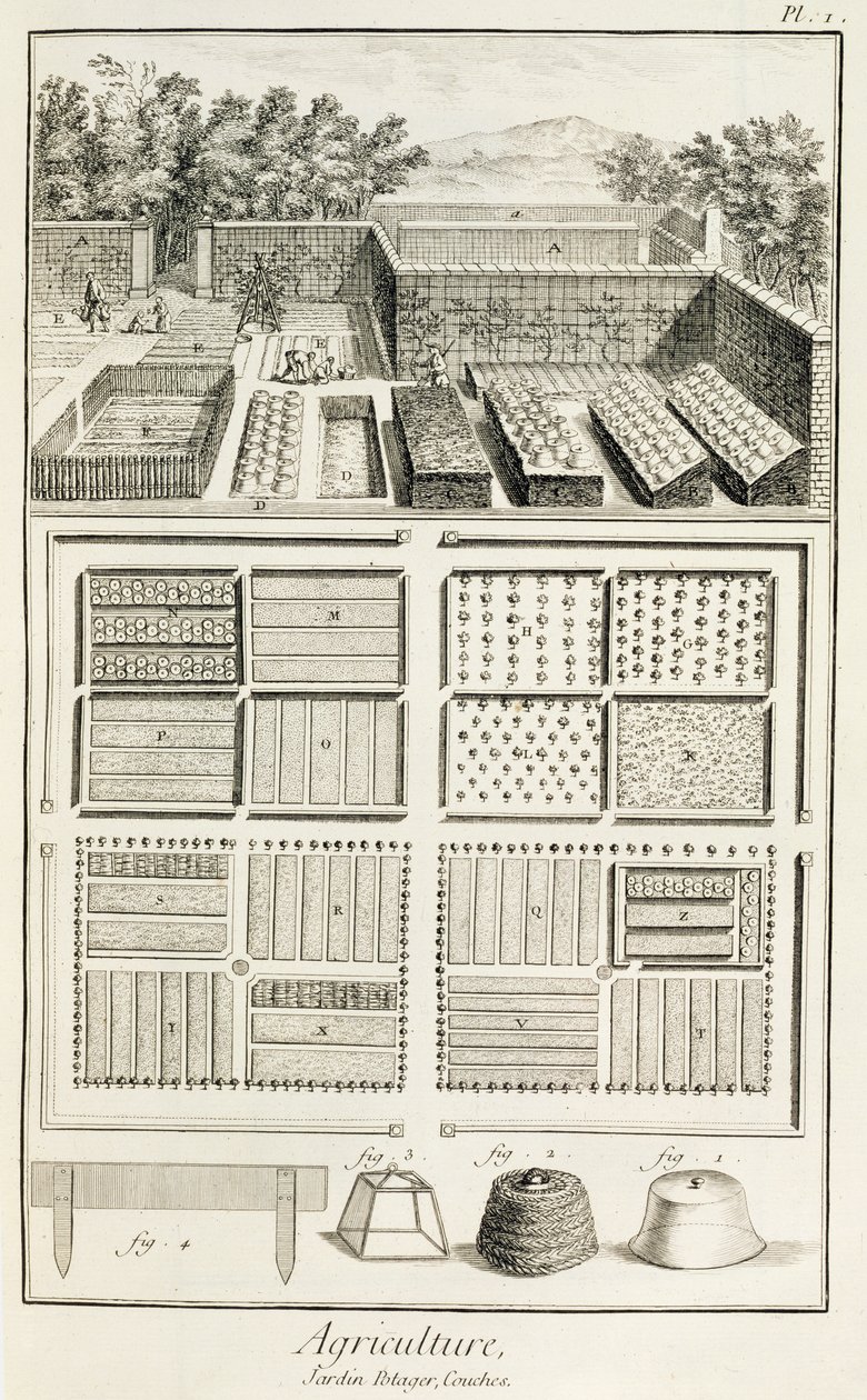 菜园，来自Denis Diderot的科学，艺术和工程百科全书（1713-84），1770 作者 法语学校