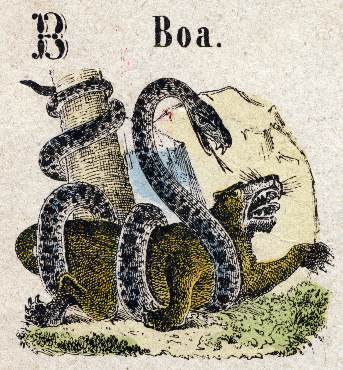 初学者。 字母 B 像 Boa。 小百科字母，流行系列。 Epinal 成像，19 世纪后期 作者 法语学校