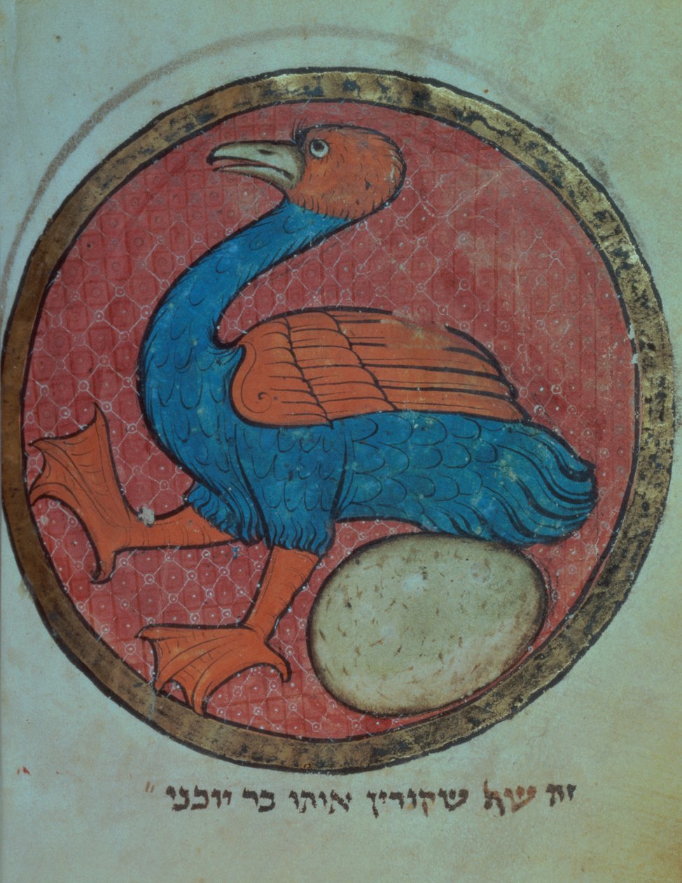 添加 11639 f.517v 一只带蛋的奇幻鸟，出自北法兰西杂记，约 1280 年（牛皮纸） 作者 法语学校