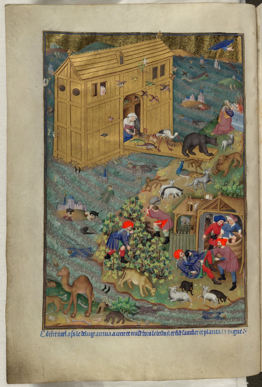 添加 Ms 18850 f.16v，《方舟出口》，选自《时间之书》（《贝德福德时间》），约 1410-30 年（牛皮纸上的墨水、彩色和金色）。 作者 法语学校
