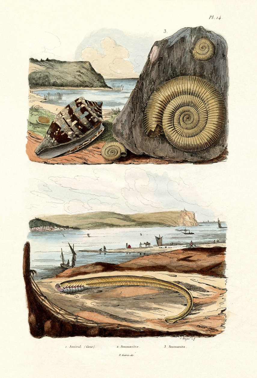 海军上将Cone，1833-39 作者 法语学校