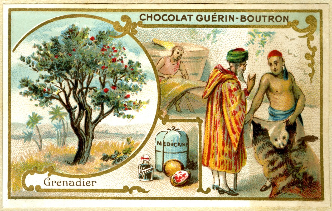GuérinBoutron巧克力的广告色谱（色谱） 作者 法语学校