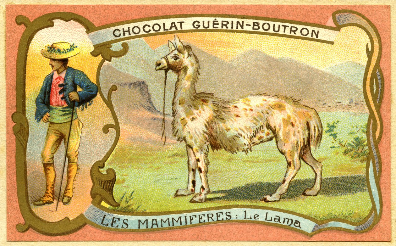 巧克力的广告色谱技术Guerin Boutron，THE MAMMALS，喇嘛 作者 法语学校