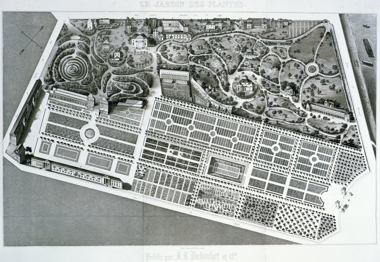 Jardin des Plantes计划的鸟瞰图在巴黎，1842年 作者 法语学校