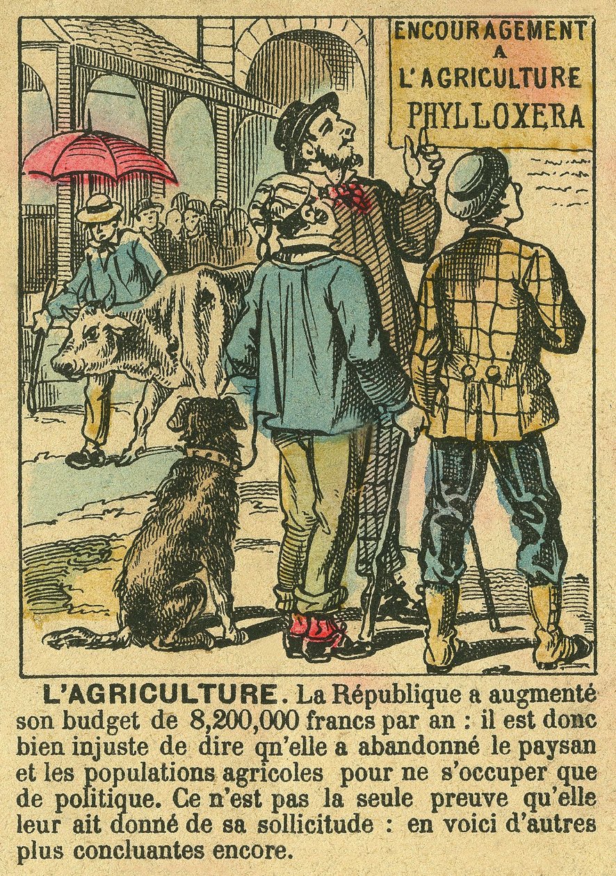 农业说明了第三共和国对农业投资的好处及其对农民人口的关注。1889年3月30日《费加罗报》副刊上的版画，巴黎。签名。塞尔瓦。 作者 法语学校