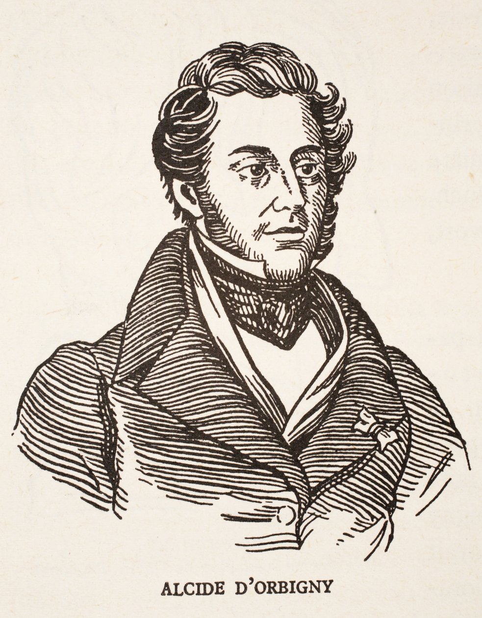 Alcide dOrbigny 作者 法语学校