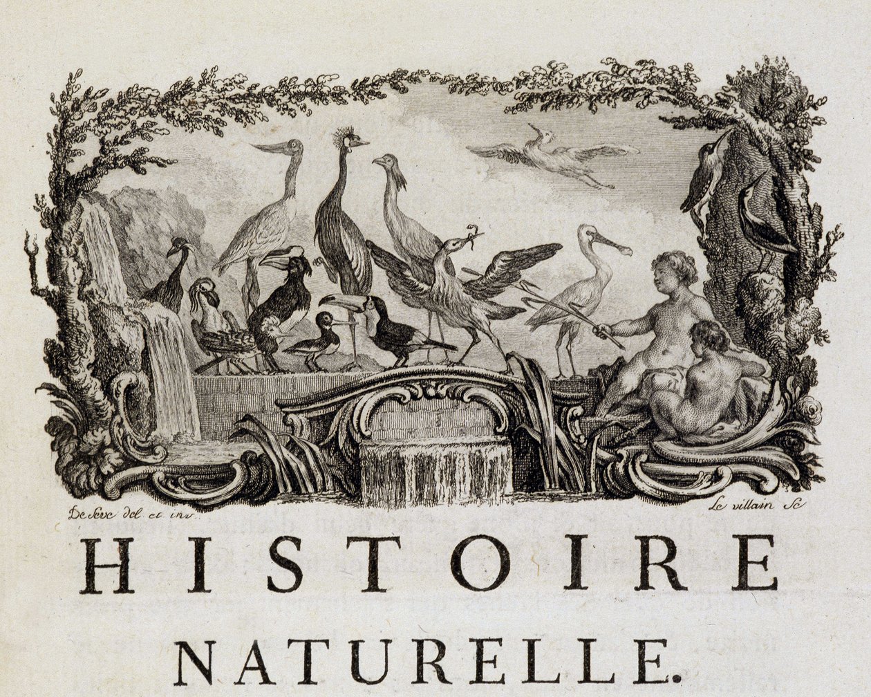 Allegorie d