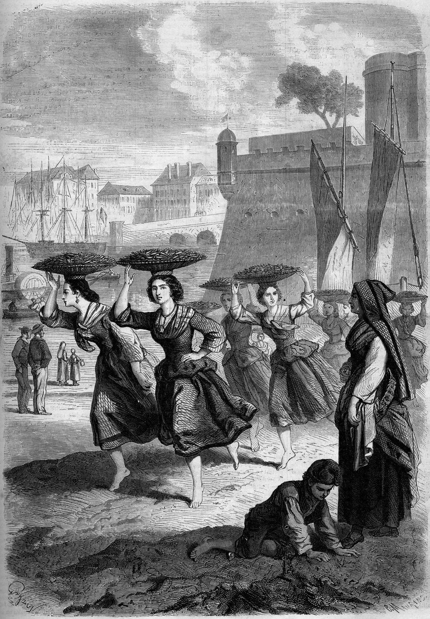 巴约纳的沙丁鱼商人要去比亚里茨，大西洋皮伦内斯（Pyrennees Atlantiques）（64）。 作者 法语学校