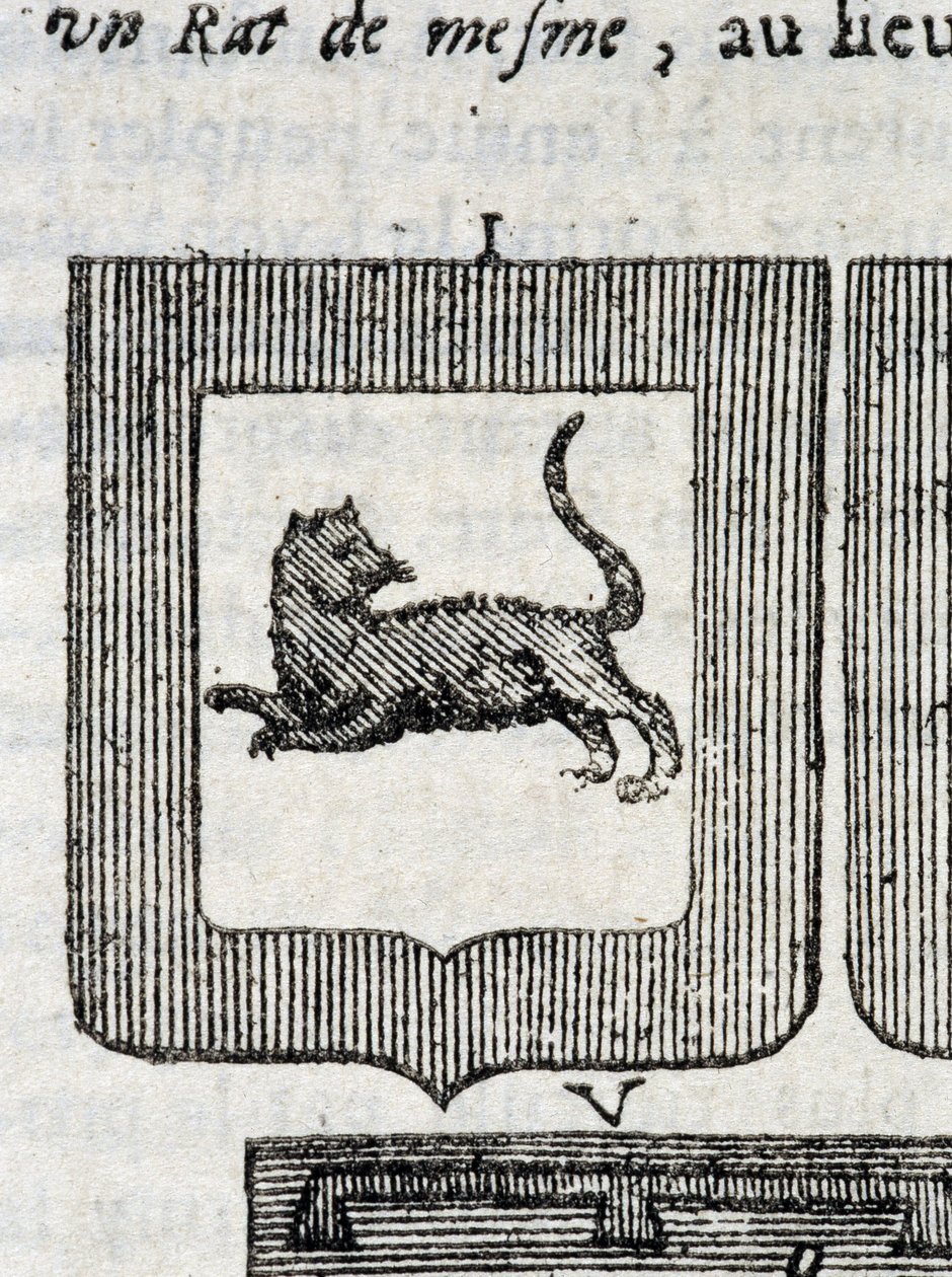 皮埃尔·帕利奥特 (Pierre Palliot) 所著的“La Vraye and Perfect Science of Arms or the Armorial Index”中意大利步兵团的 Blazon 作者 法语学校