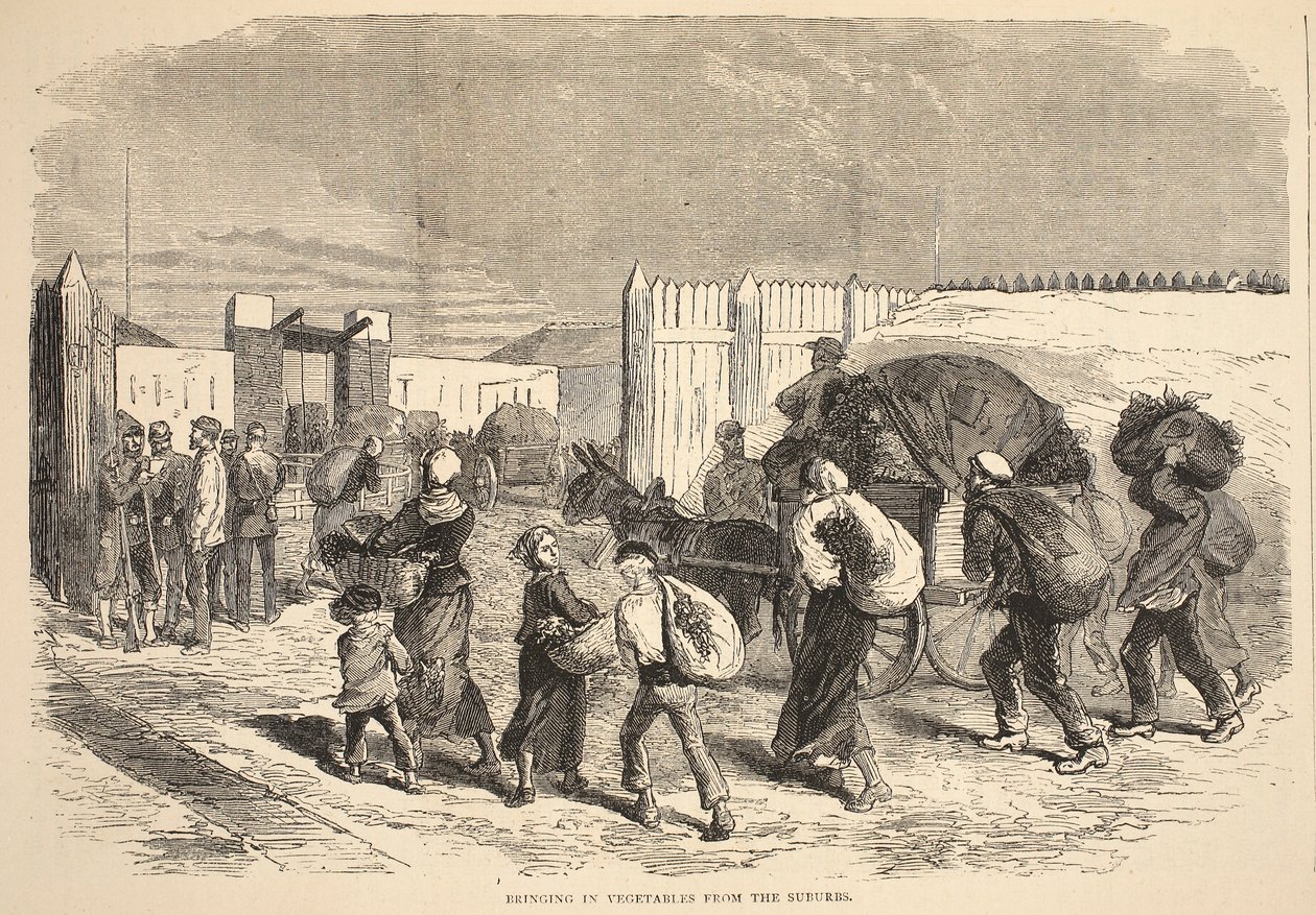 从郊区带来蔬菜，插图来自卡塞尔斯法国和德国之间的战争历史，1870-1871 作者 法语学校