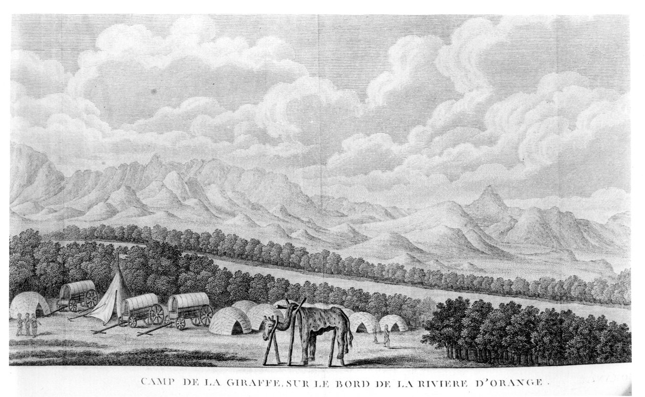 位于奥兰治河畔的长颈鹿营地，由Francois Le Vaillant（1753-1824）出版的第二次航行中的第二卷dansieur de lAfrique出版 作者 法语学校