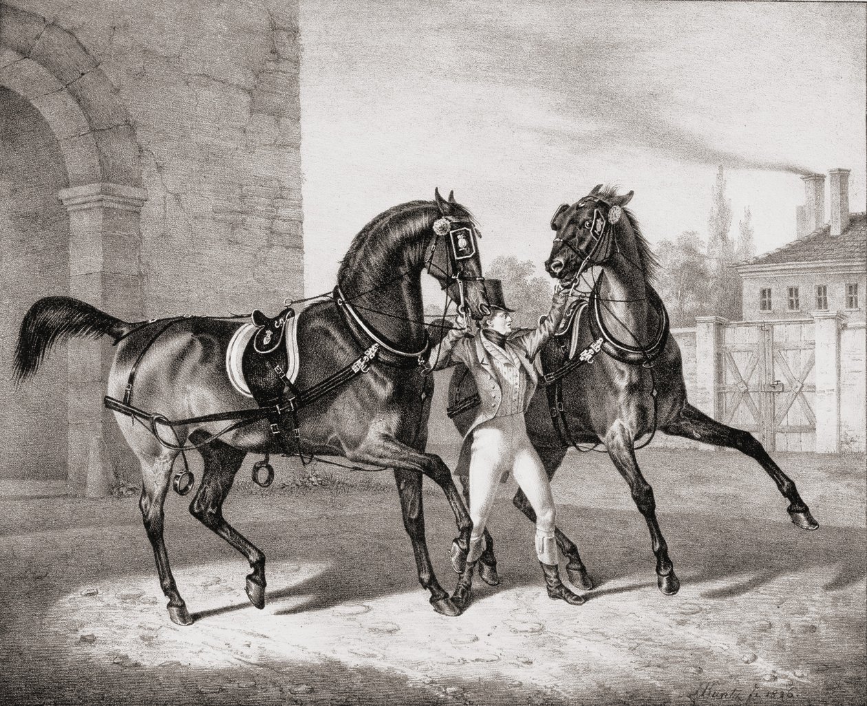 1836年为英格兰国王的马车 作者 法语学校