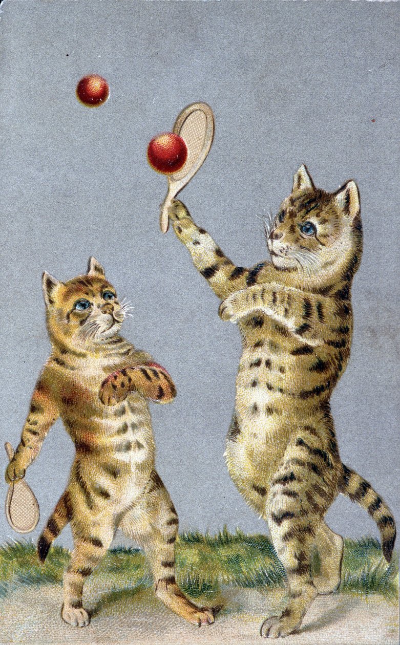 Cats playing tennis - postcard early 20th century. 作者 法语学校