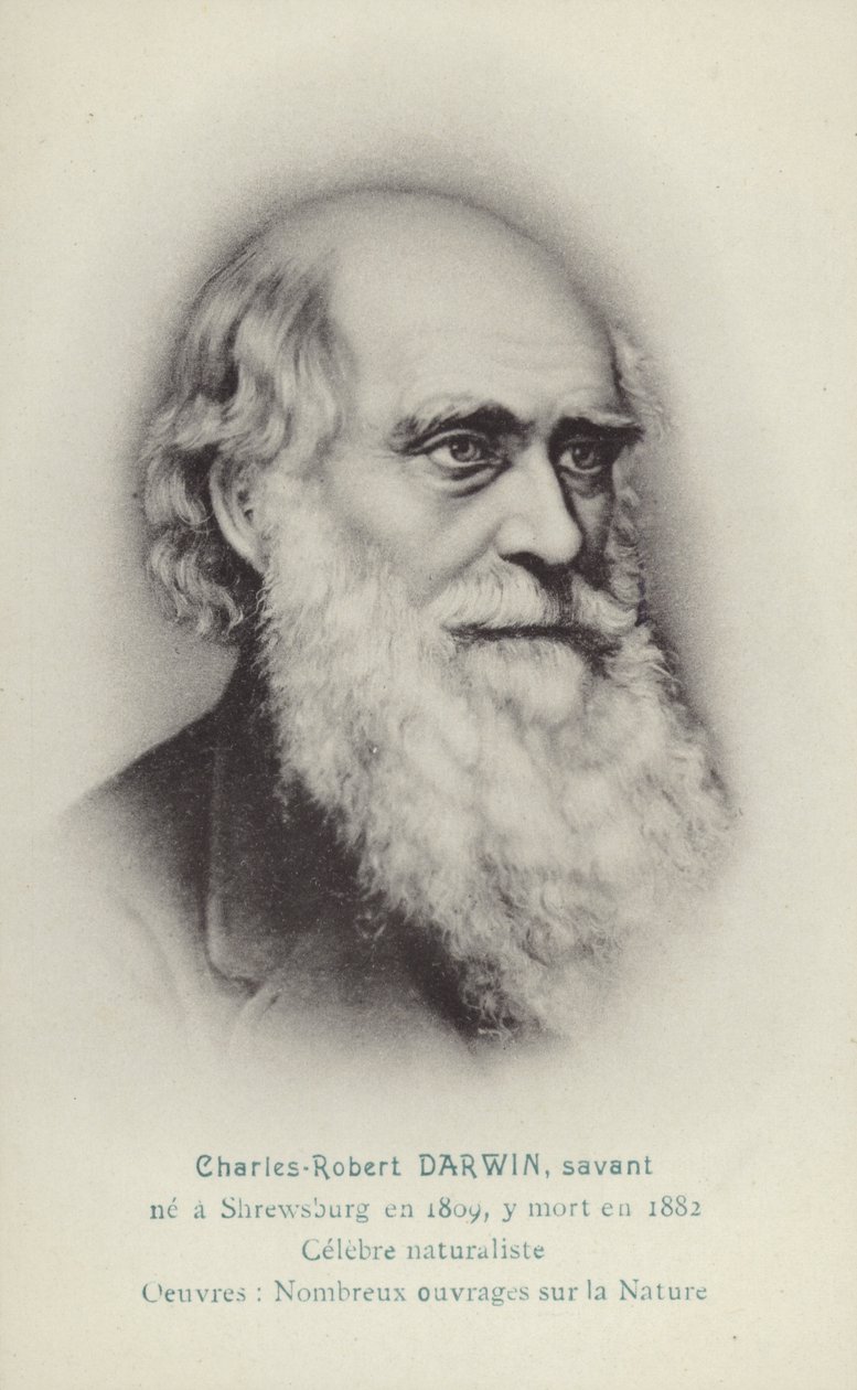 查尔斯・达尔文（1809-1882），英国博物学家（平版） 作者 法语学校