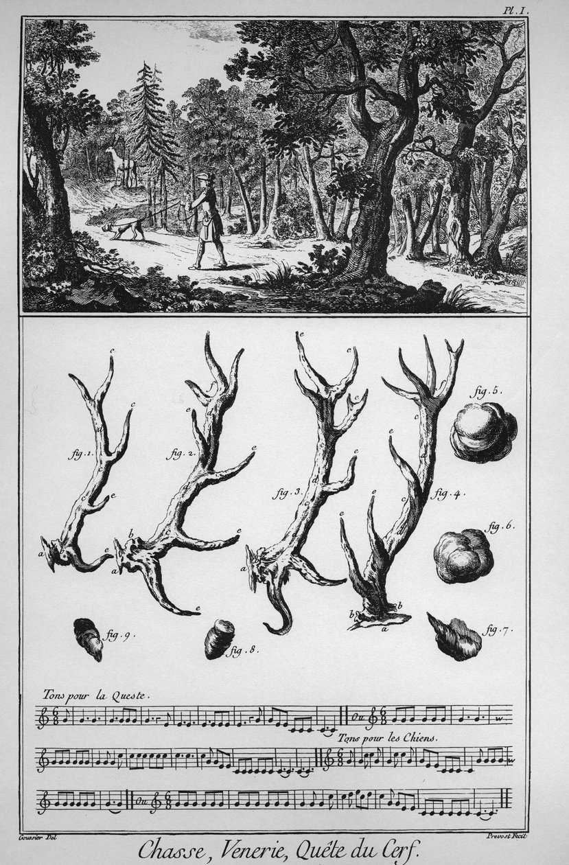 Chasse - la quete du deer - "The Great Encyclopedie, ou Dictionnaire Raisonne des Sciences, des Arts et des Metiers"（大百科全书或科学、艺术和专业词典），作者是丹尼斯-狄德罗（1713-1784）和让-达朗贝尔（1717-1783）。 作者 法语学校