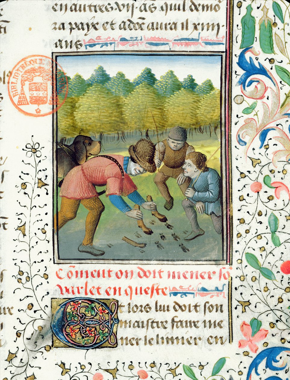 通过Gaston Phebus de Foix（1331-91）从Livre de la Chasse检查雄鹿的轨迹 作者 法语学校