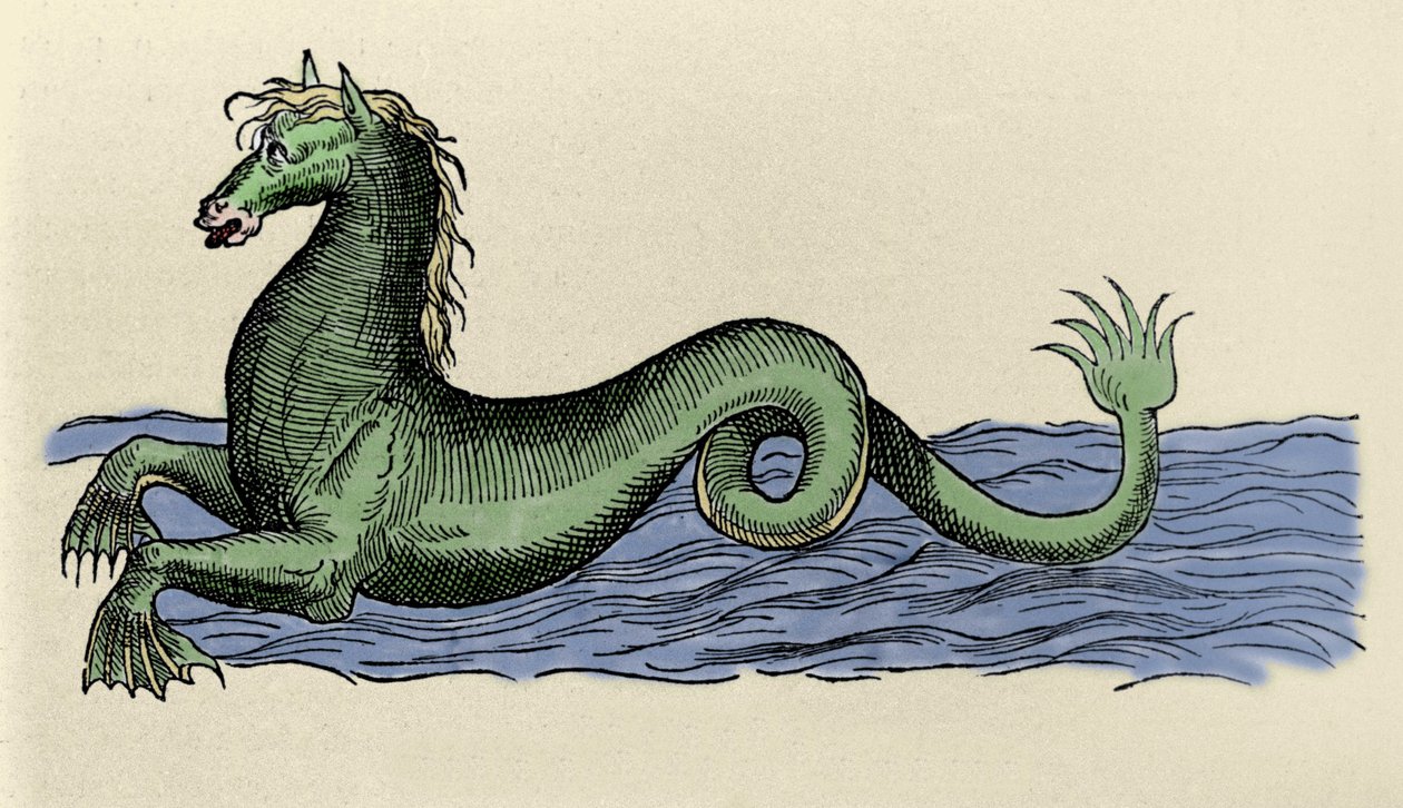 "De Aquatilibus "中的水手座 作者 法语学校