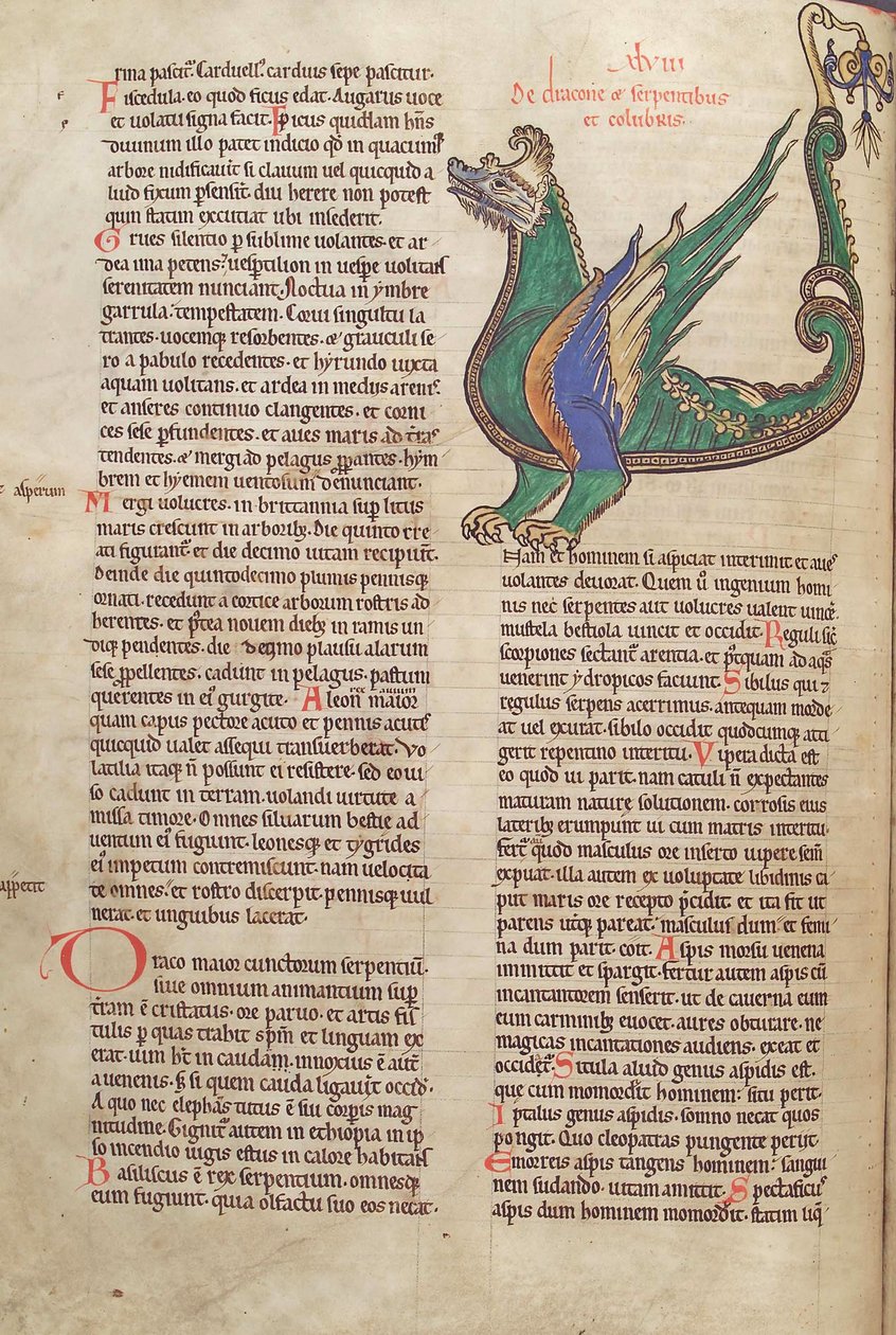 鳕鱼。 Guelf。 1 Gud。 LAT。 40v，文本与龙的例证，从Liber Floridus由Lambert de Saint-Omer c.1120 作者 法语学校