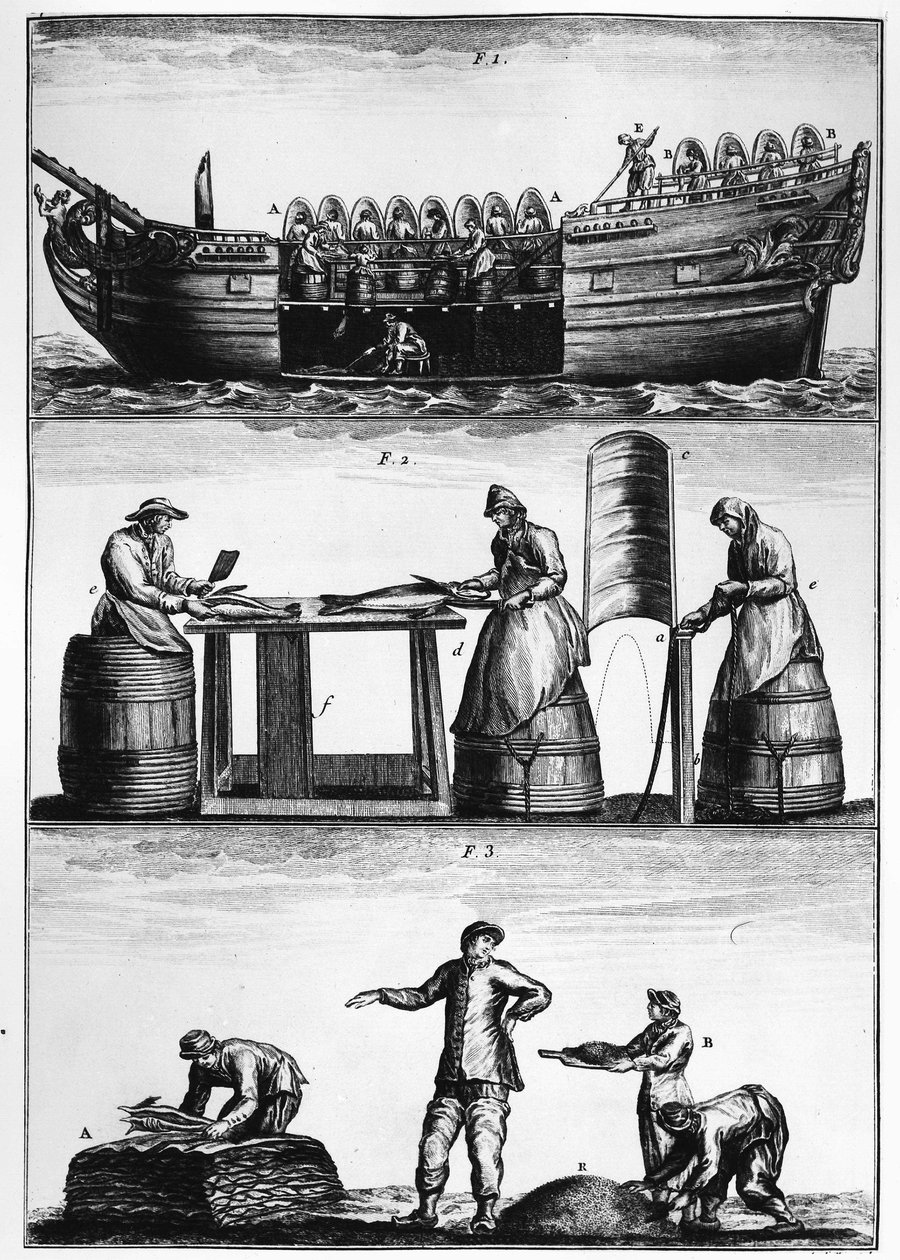 捕捞鳕鱼：装载、切片和腌制鱼--载于Duhamel du Monceau的 "Traité général des pêches"。 作者 法语学校