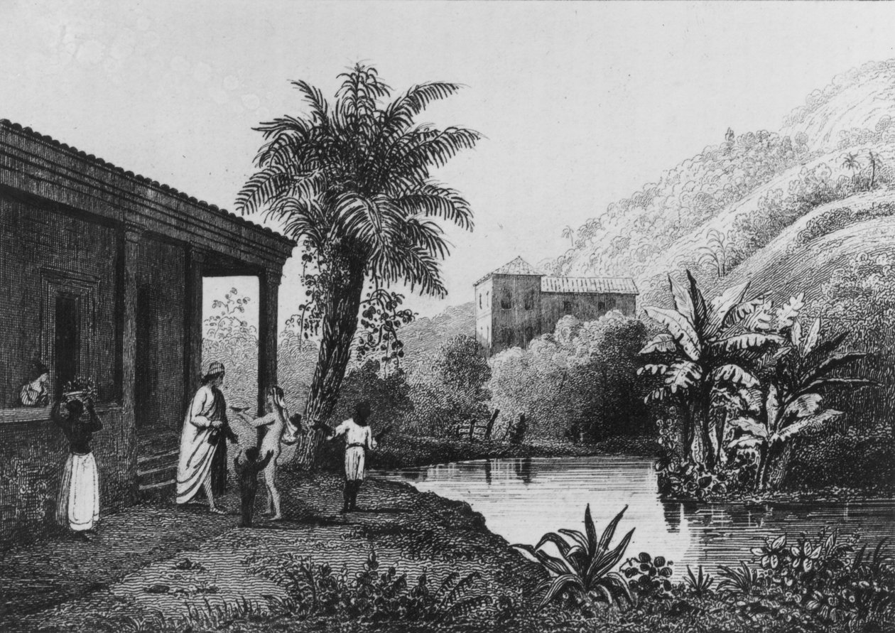 咖啡种植园，摘自Ferdinand Denis和Cesar Famin 1837年创作的 "Bresil, Columbie et Guyanes"（雕刻）（黑白照片）。 作者 法语学校