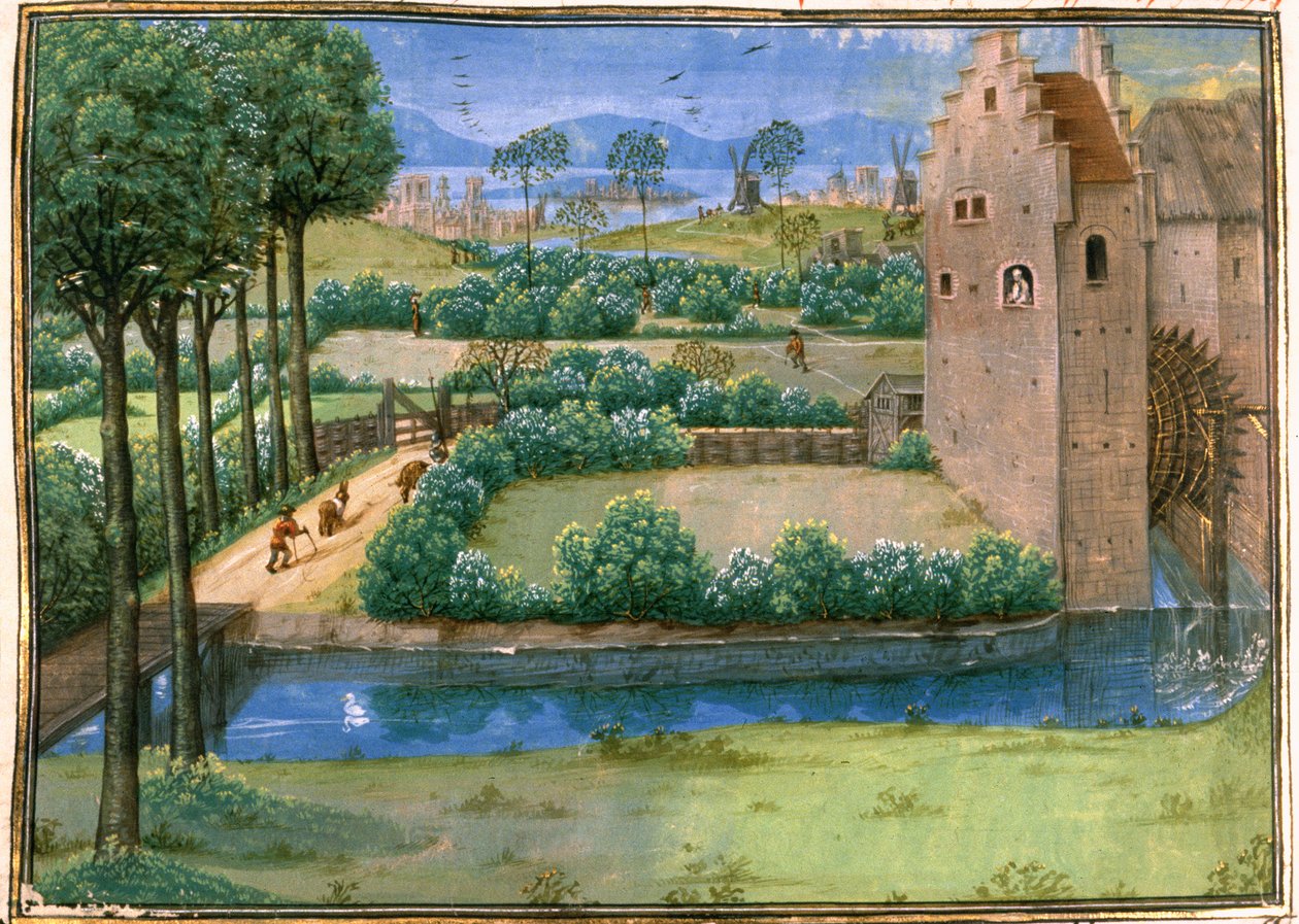 Cott Aug A V f.345v 佛兰德风景画，前景为水车，背景为风车，选自《世界历史》，约 1286 年（牛皮纸）。 作者 法语学校