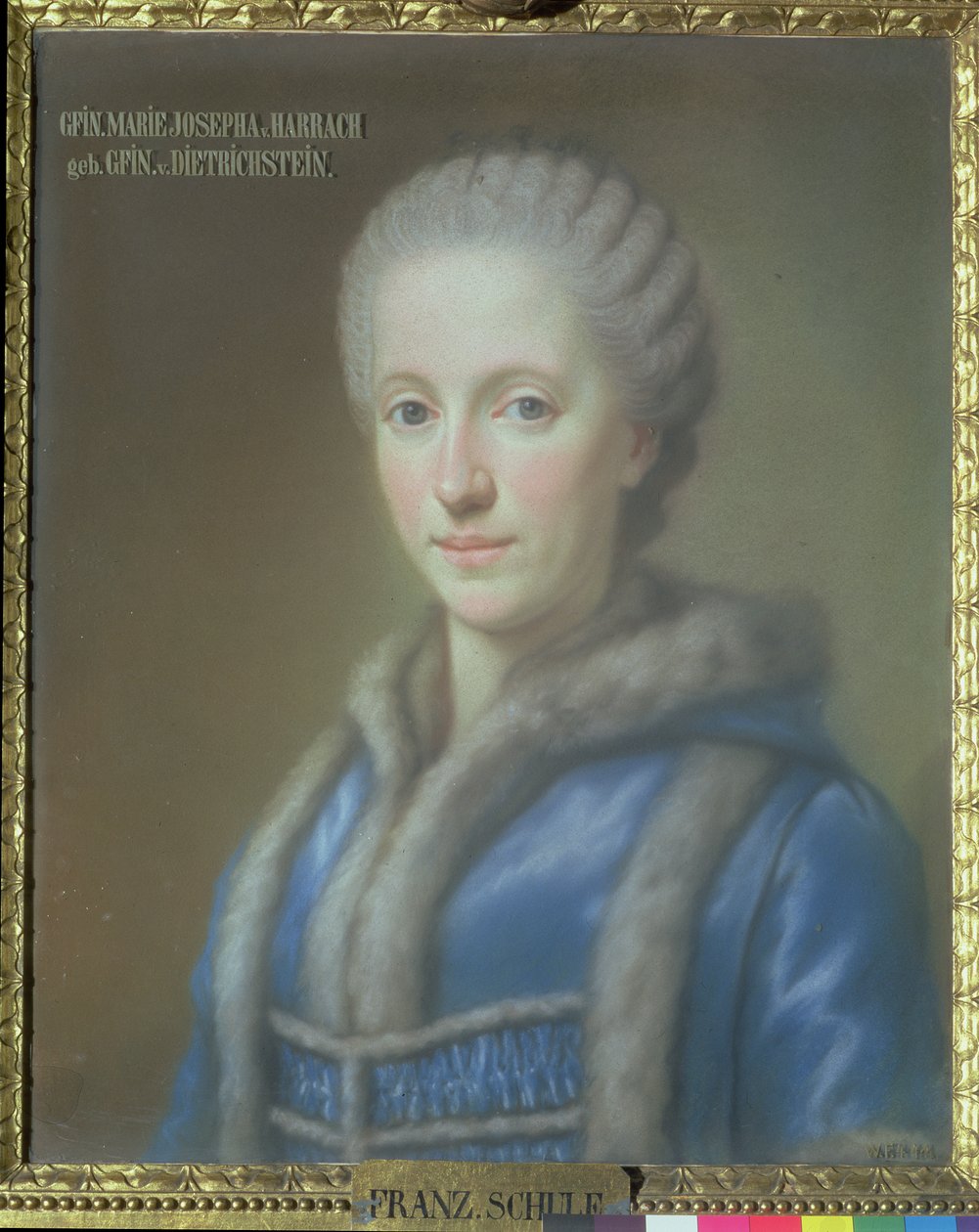 Count Guido von Harrach（1732-83）的妻子Maria Josepha von Harrach伯爵夫人 作者 法语学校
