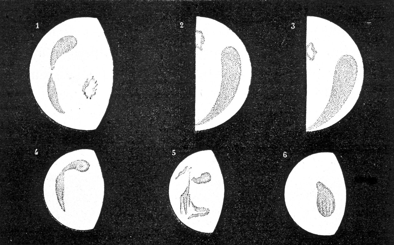 金星的暗斑和亮斑；1、2、3是卡西尼在1667年和1667年观察到的斑点；4、5、6是兰登先生在1871年观察到的斑点--见Amédée Guillemin的《Le Ciel》。 作者 法语学校
