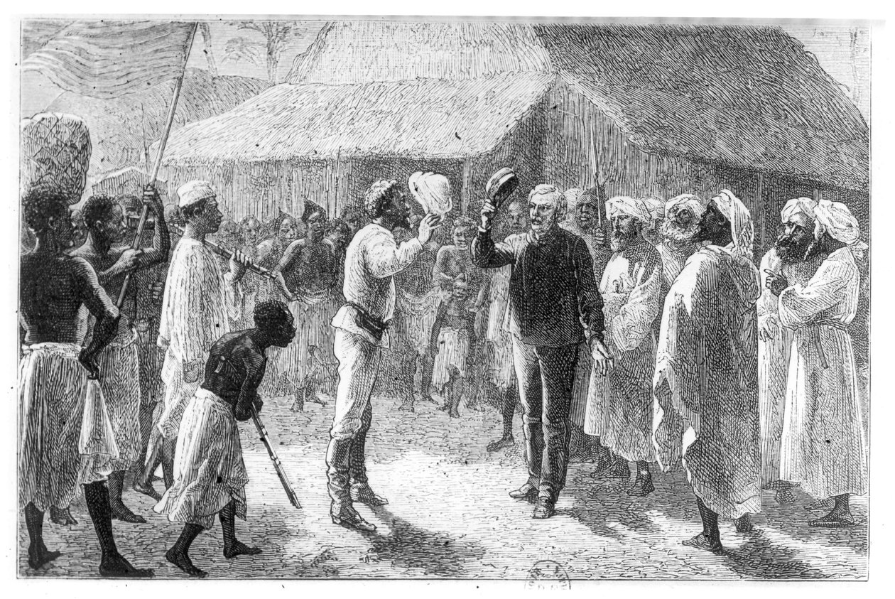 大卫·利文斯通（1813-73）来自亨利·莫顿·斯坦利爵士（1841-1904）的“如何找到利文斯通” 作者 法语学校