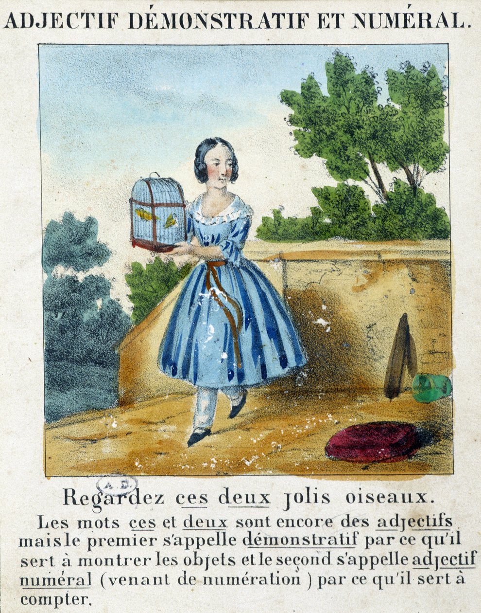指示性和数字形容词（一个女孩带着两只鸟的笼子） - 在“” La grammaire en images”中 作者 法语学校
