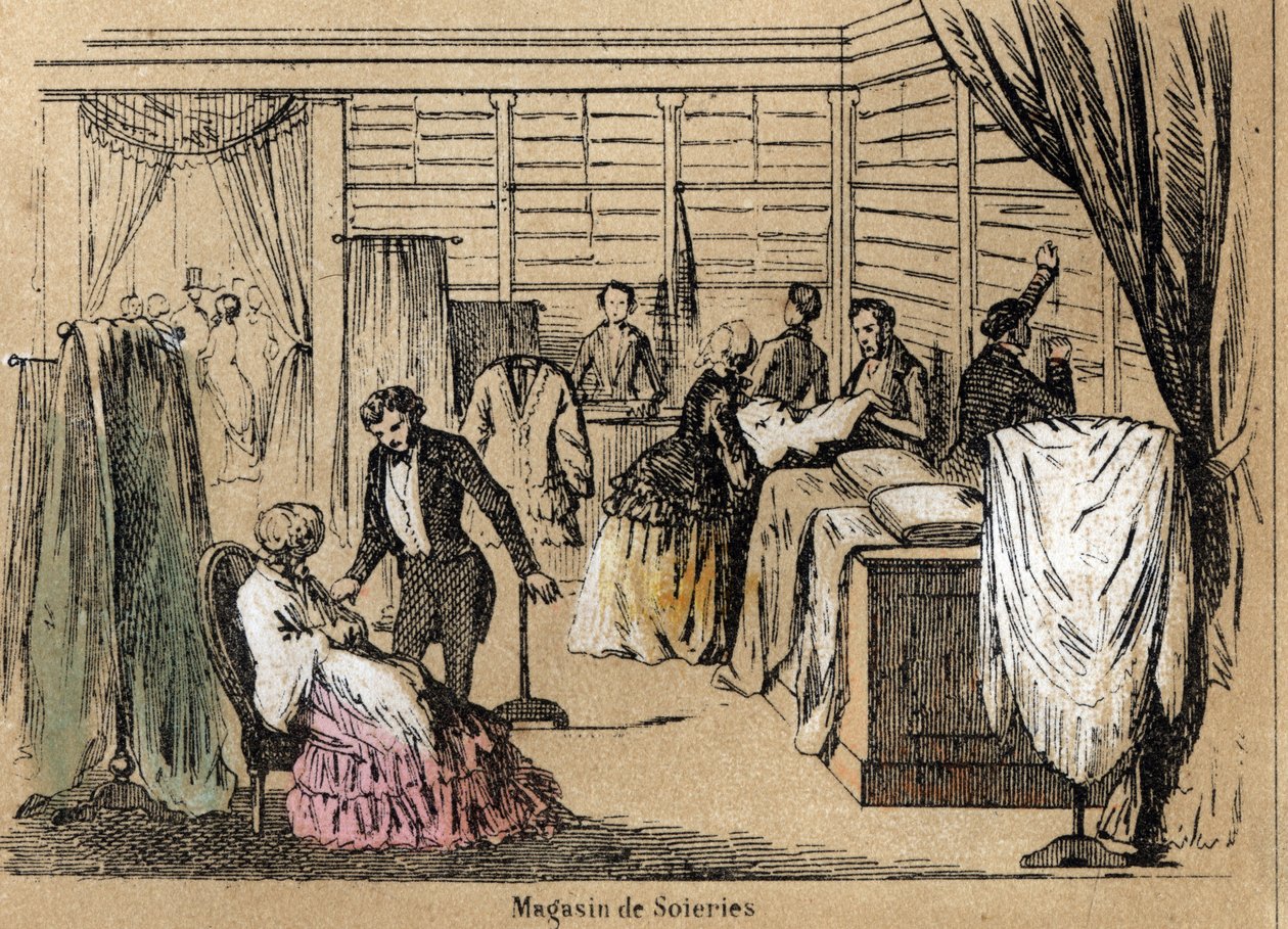 文化和丝绸产品的描述：一家丝绸店。Jules DELBRUCK的 "les Recreations instructives "中的 "la soie "板块，1860年的雕刻。私人收藏。 作者 法语学校