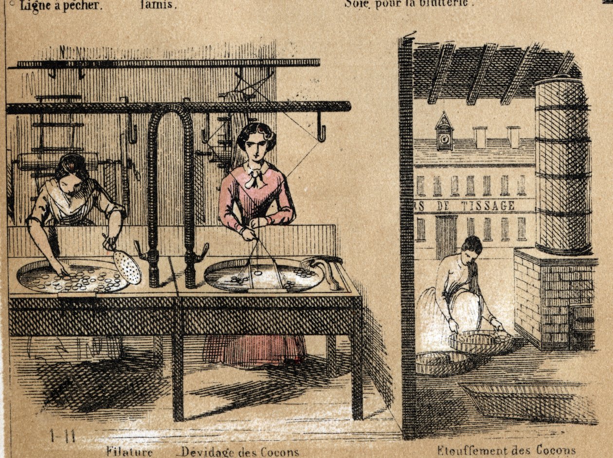 对作物和丝绸产品的描述：工人们在纺丝，清除或闷死蚕茧。Jules DELBRUCK创作的 "les Recreations instructives "中的 "la soie "板块，1860年的雕刻。私人收藏。 作者 法语学校