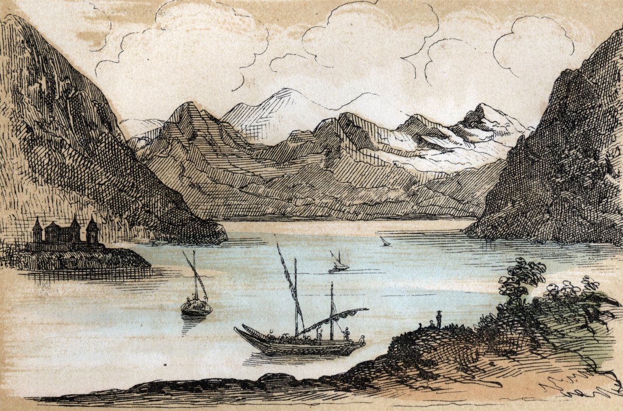 根据地理环境描述不同类型的景观和浮雕：描绘日内瓦湖的细节。儒勒-德尔布鲁克（Jules DELBRUCK）的《自然地理》图版，1860年雕刻。私人收藏 作者 法语学校