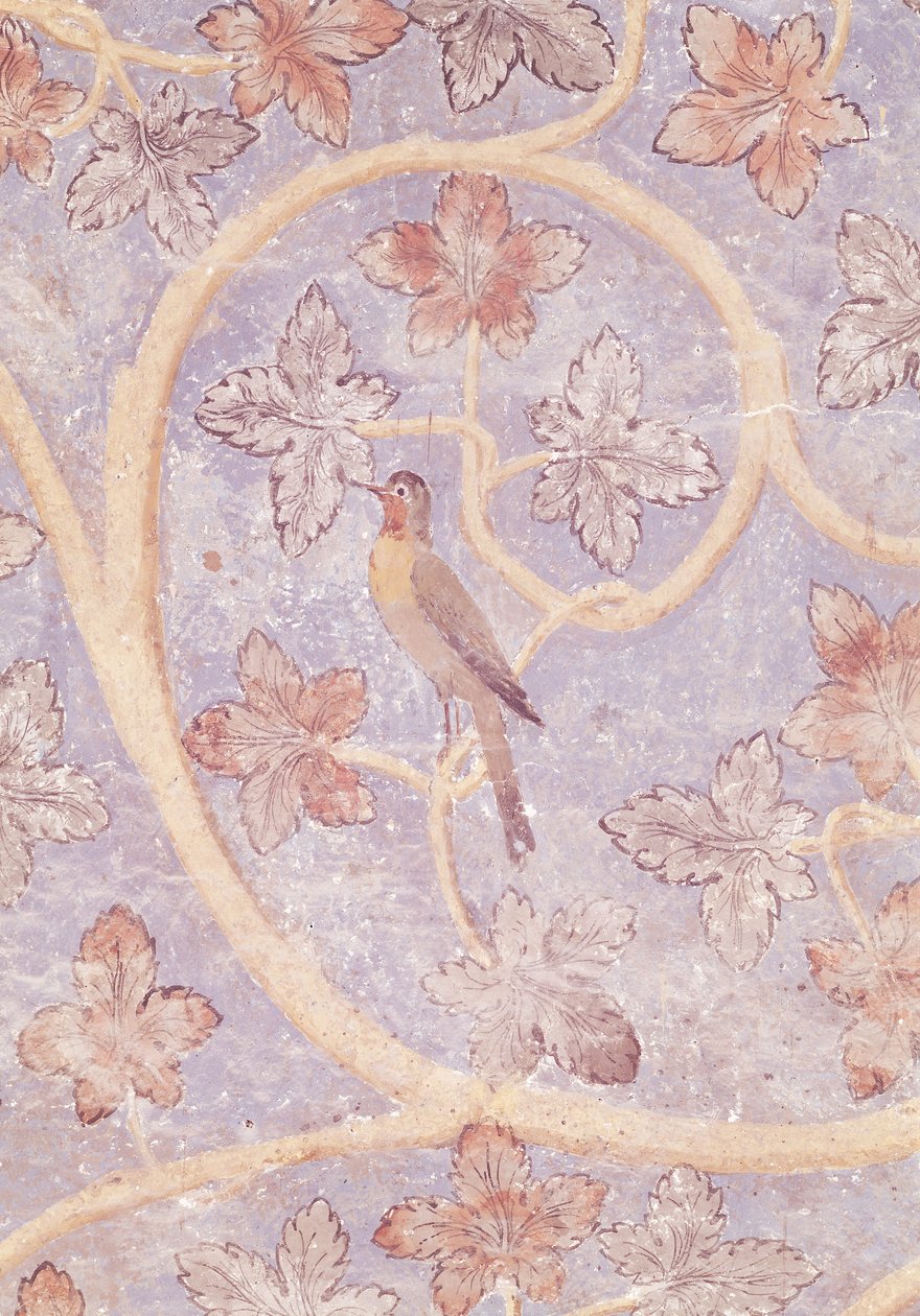 一只鸟的细节，从教皇卧室的墙壁装饰，c.1334-62（参见154784） 作者 法语学校