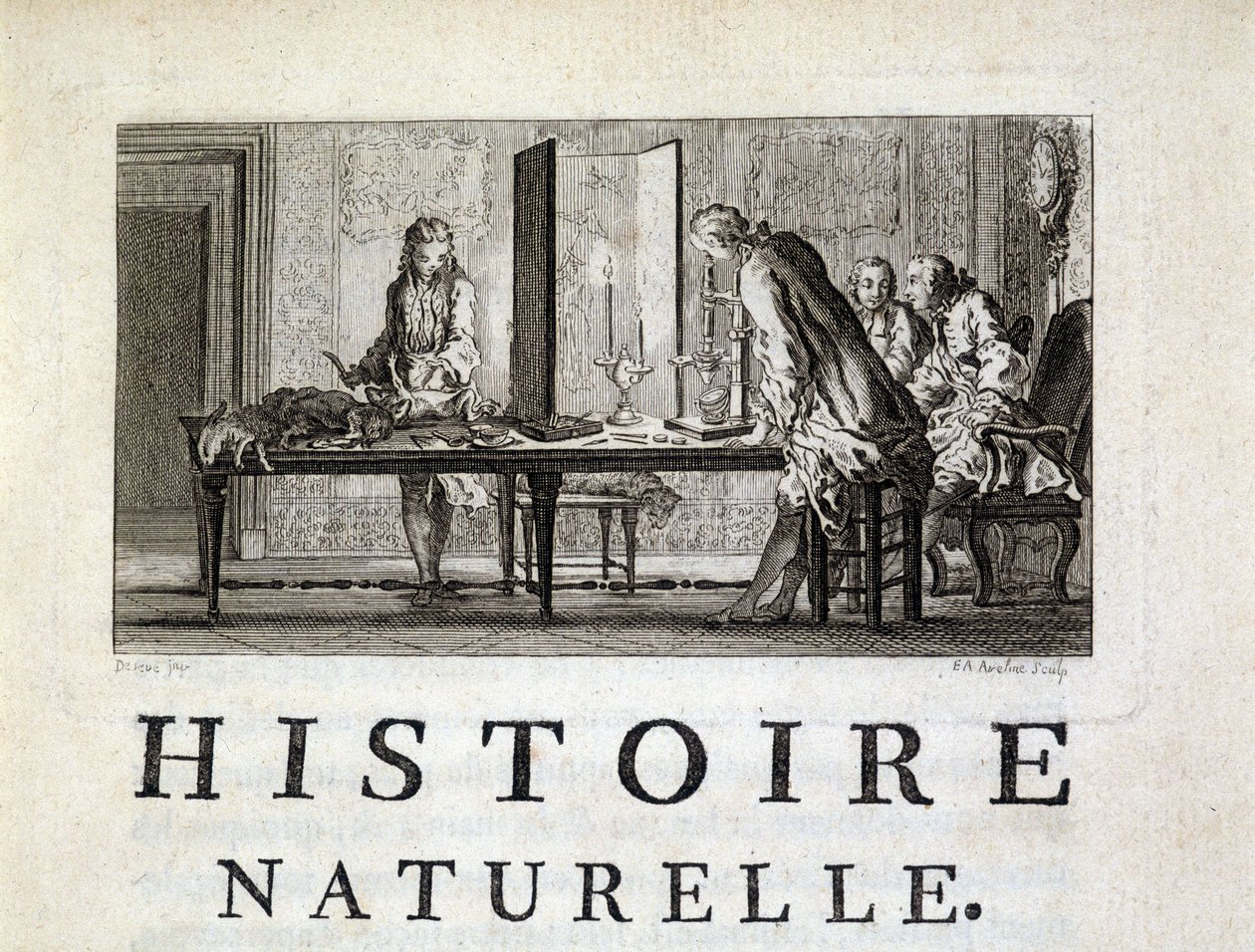 Dissection des animaux - in “” Histoire naturelle, générale et particular”” by Buffon 作者 法语学校