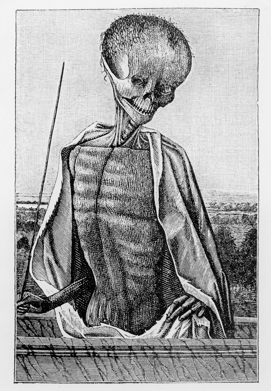 死亡博士，来自“小时之书”，中世纪和文艺复兴时期科学与文学的插图，由Paul Lacroix编写和雕刻，1878年 作者 法语学校