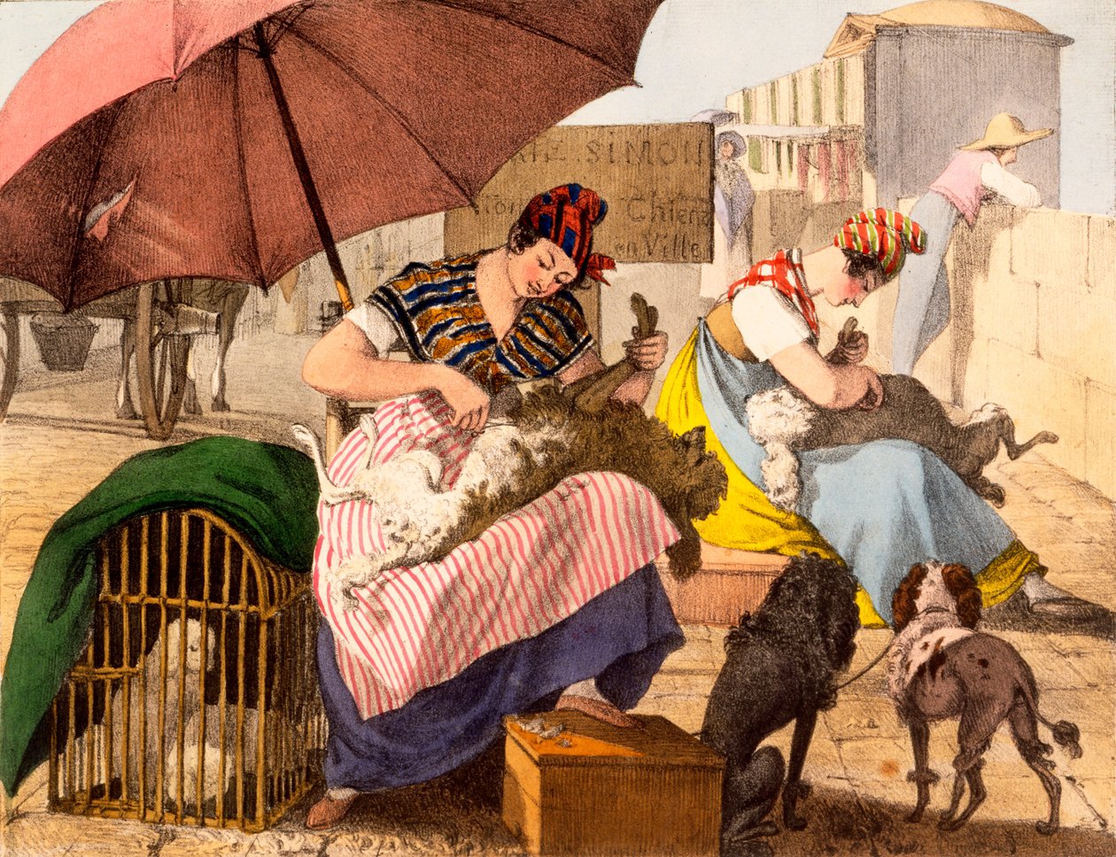 Dog Groomers，1820 作者 法语学校