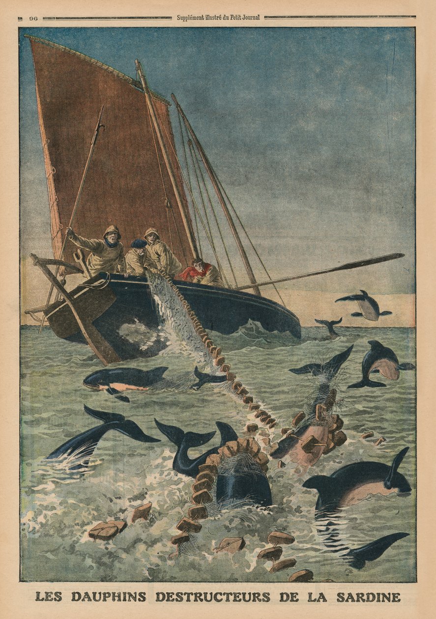 海豚摧毁沙丁鱼，封面插图来自&39;Le Petit Journal&39;，补充illustre，1913年3月23日 作者 法语学校