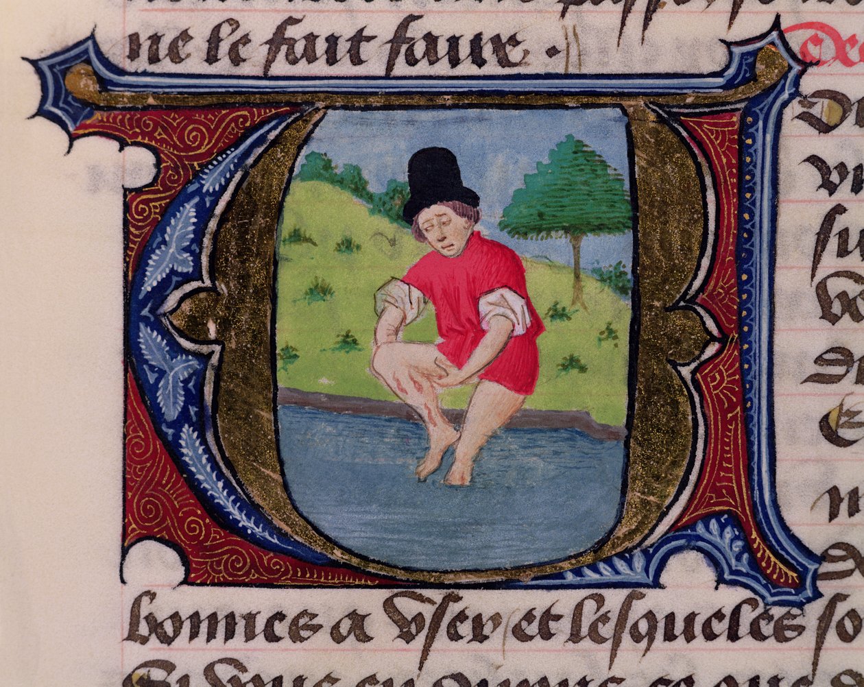 F.27v Leeching，来自佛罗伦萨Aldebrande的Medecine Treaty，1356 作者 法语学校