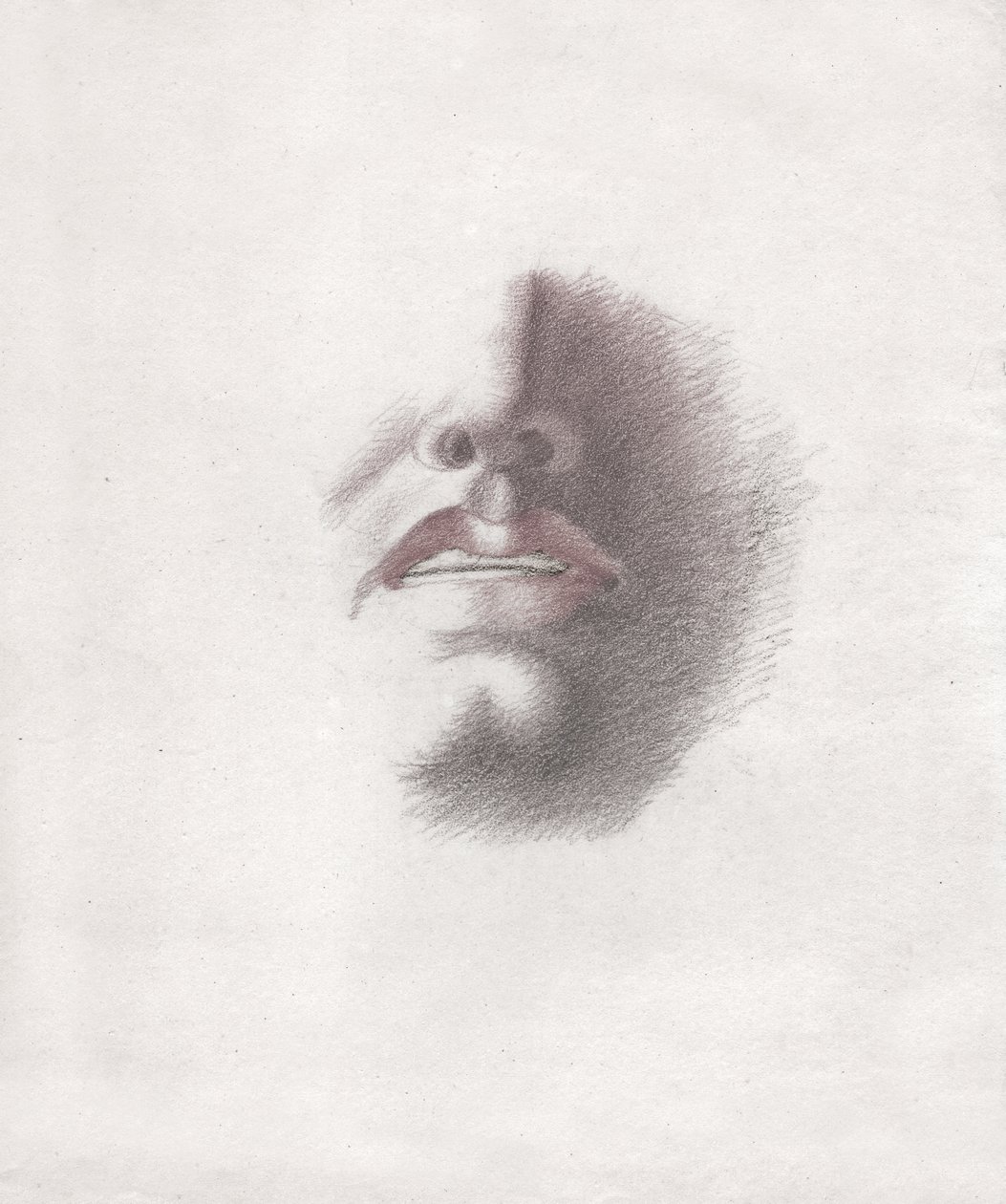 Face of a man. (drawing, circa 1830) 作者 法语学校