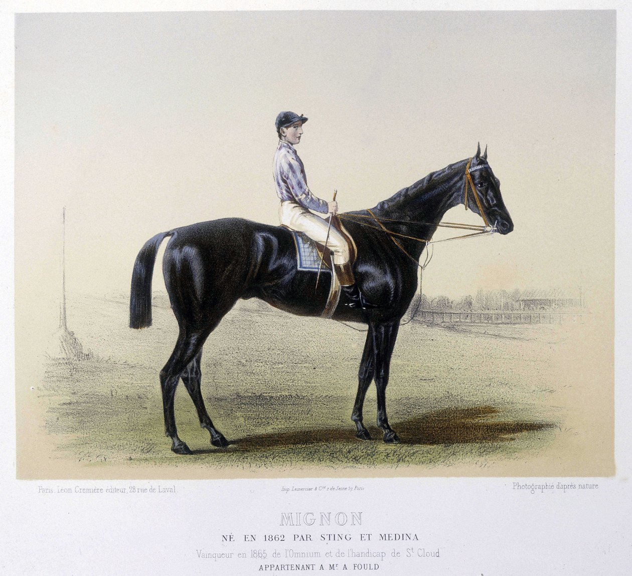 著名的赛马--在1866年的 "半人马 "中 作者 法语学校