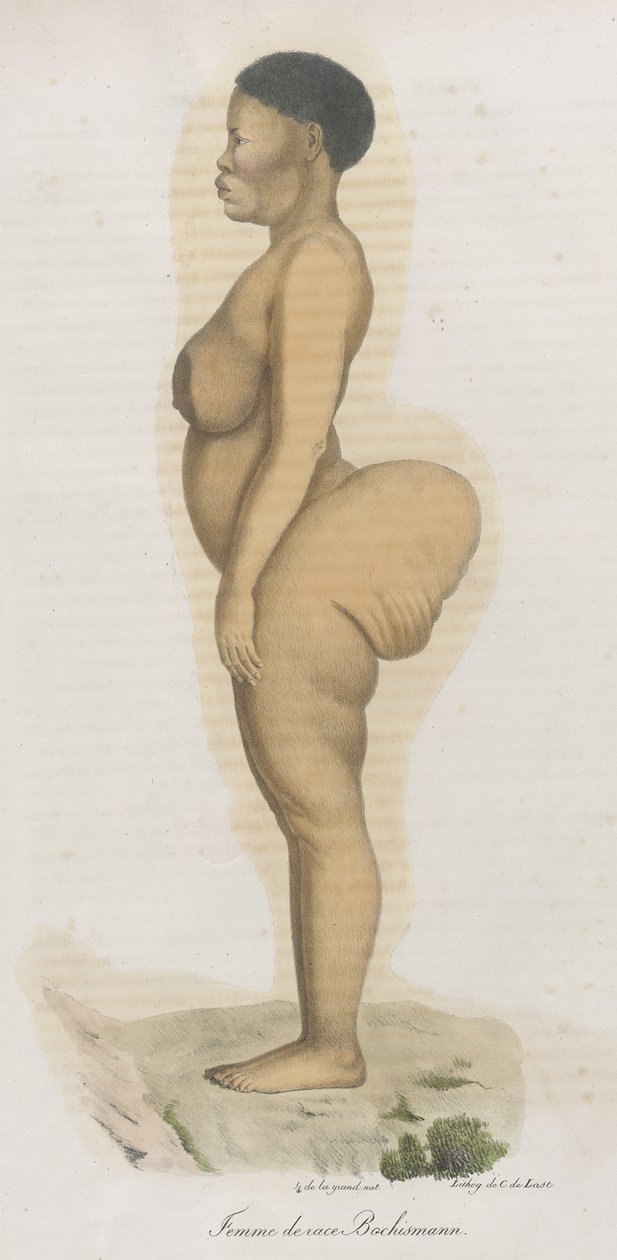 波希斯曼种族的女性"。这幅版画显然是 Sara (Saartjie) Baartman（1789-1815 年）的肖像，她是一名从南非带来的科伊桑人，被冠以 "霍屯督维纳斯 "的头衔在皮卡迪利广场公开展出，因为她在南非被称为 "霍屯督维纳斯"。 作者 法语学校