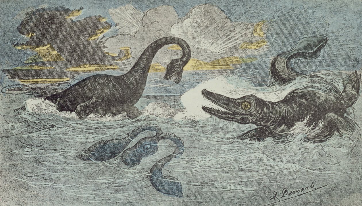 1880年（彩色雕刻）在Liassic或Jurassic时期（208至1.46亿年前）蛇颈龙和I鱼之间的战斗 作者 法语学校