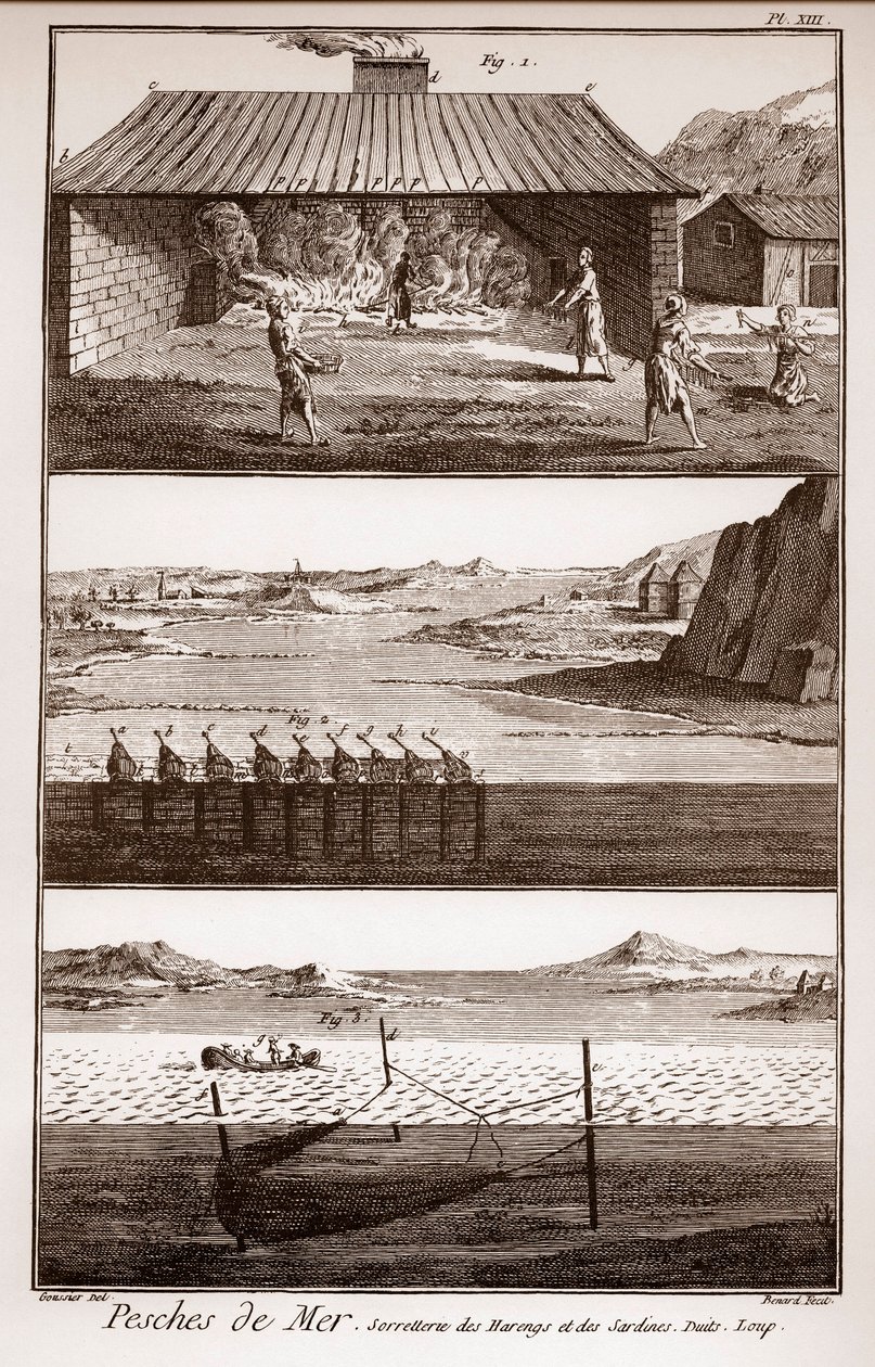钓鱼、鲱鱼和沙丁鱼 - Peches de Mer - Sorretterie des herring et des sardines - "La Grande Encyclopedie, ou Dictionnaire Raisonne des Sciences, des Arts et des Metiers" (Encyclopedia or Dictionary of the Sciences, Arts and Professions) by Deni 作者 法语学校