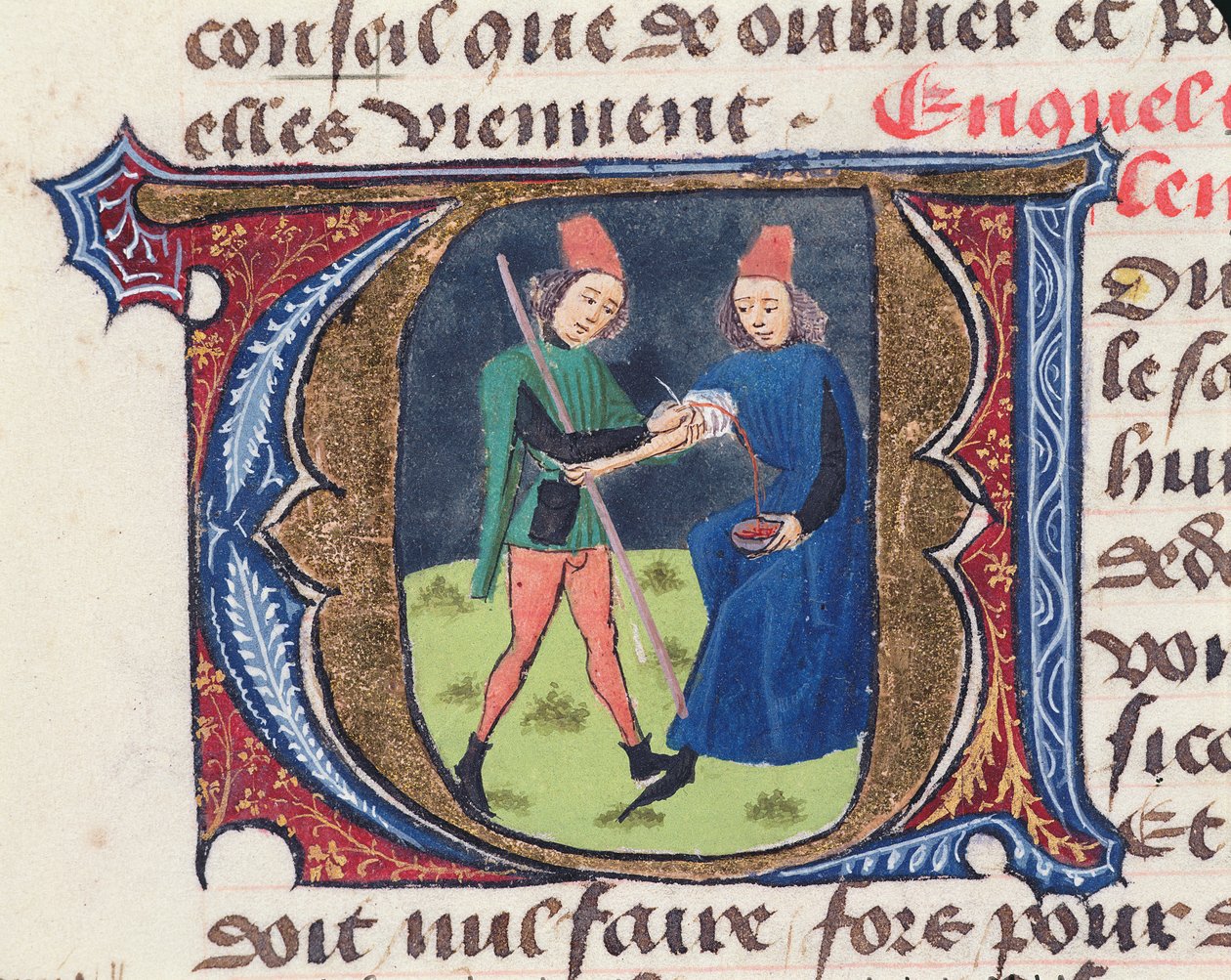 Fol.19r放血，来自佛罗伦萨Aldebrande的Medecine Treaty，1356 作者 法语学校