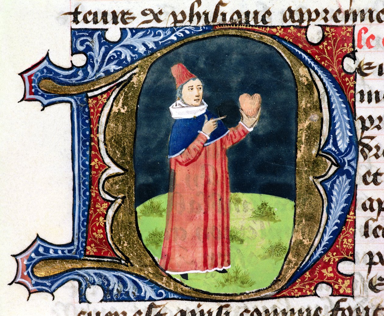 Fol.38v The Heart，来自1336年Aldebrande de Florence的Traite de Medecine 作者 法语学校