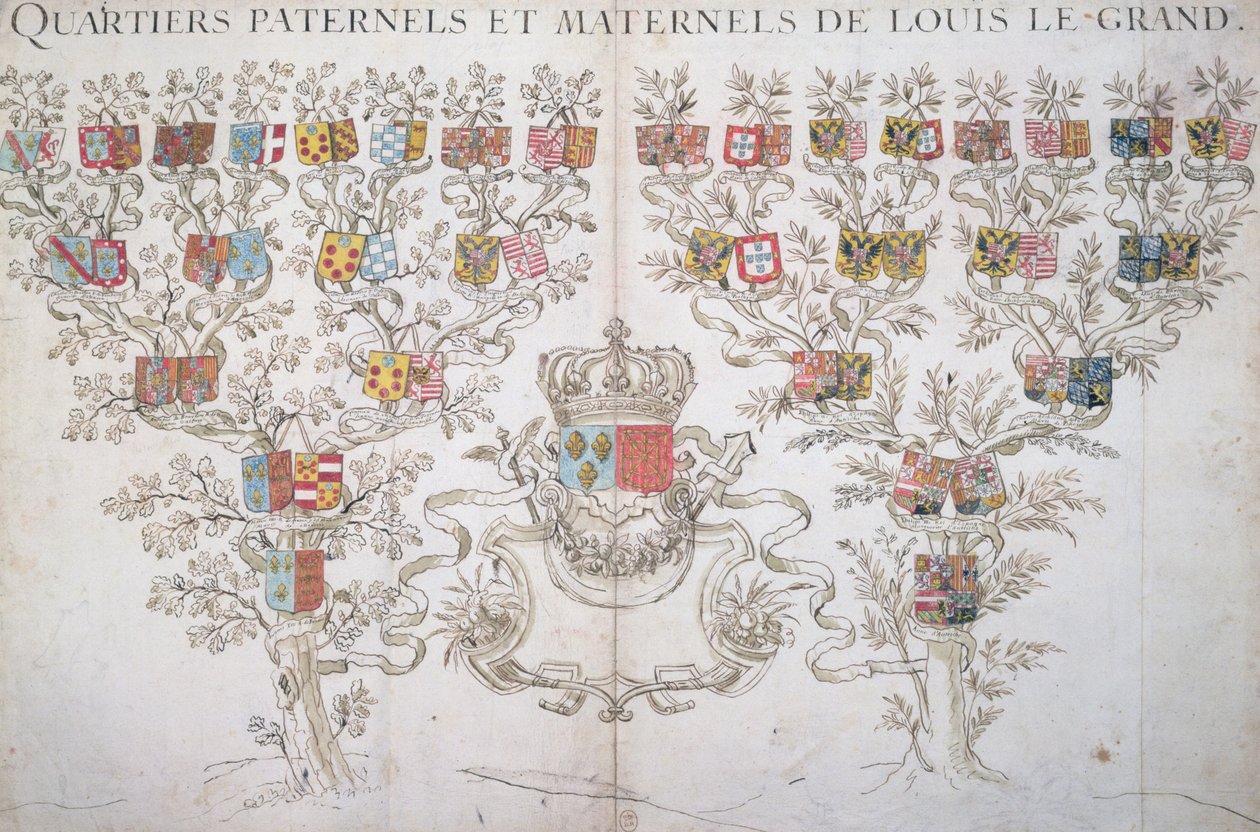 路易十四的家谱（1638-1715）显示了他对法国王室的权利，1643年 作者 法语学校